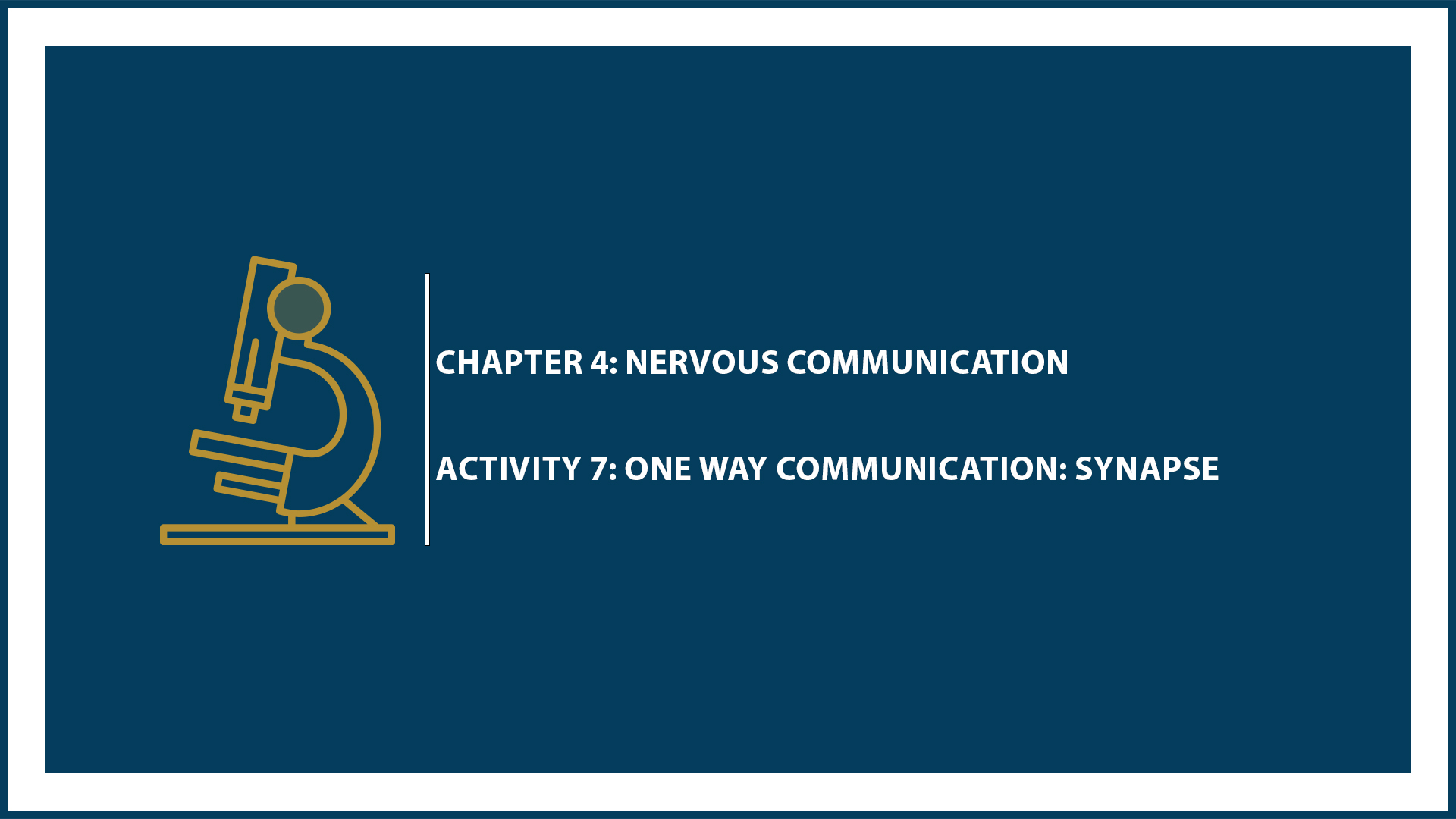 Chapter 4: Activity 7: One Way Communication: Synapse